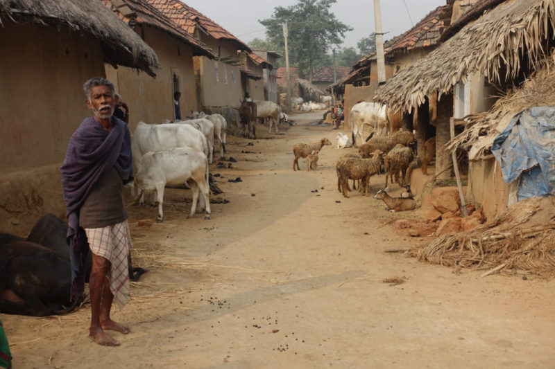 "Remote village, Ideal Retirement"